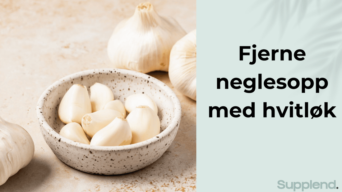 hvitløk mot neglesopp