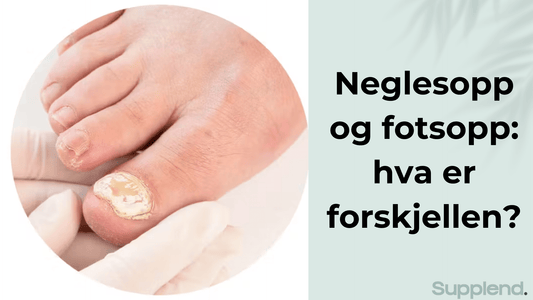 Neglesopp og fotsopp